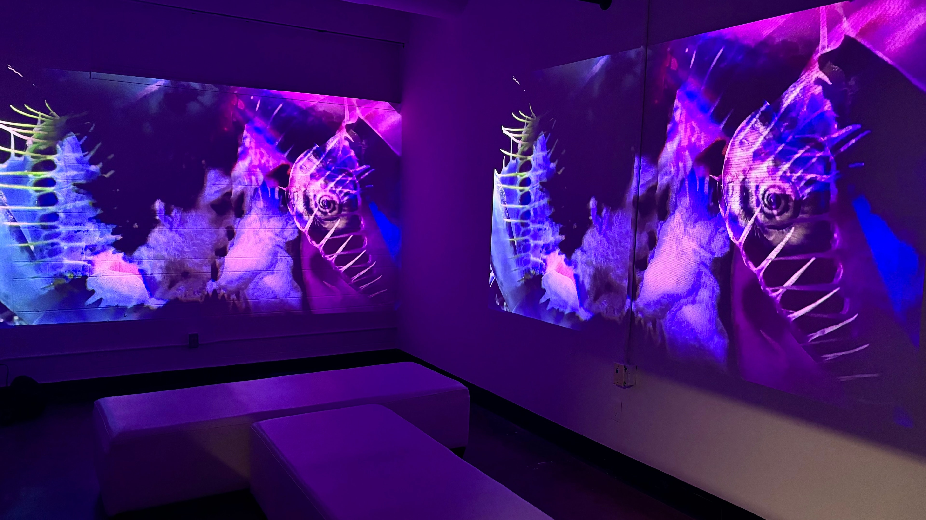 GradEx 111 — neon jellyfish installation with dual projection screens