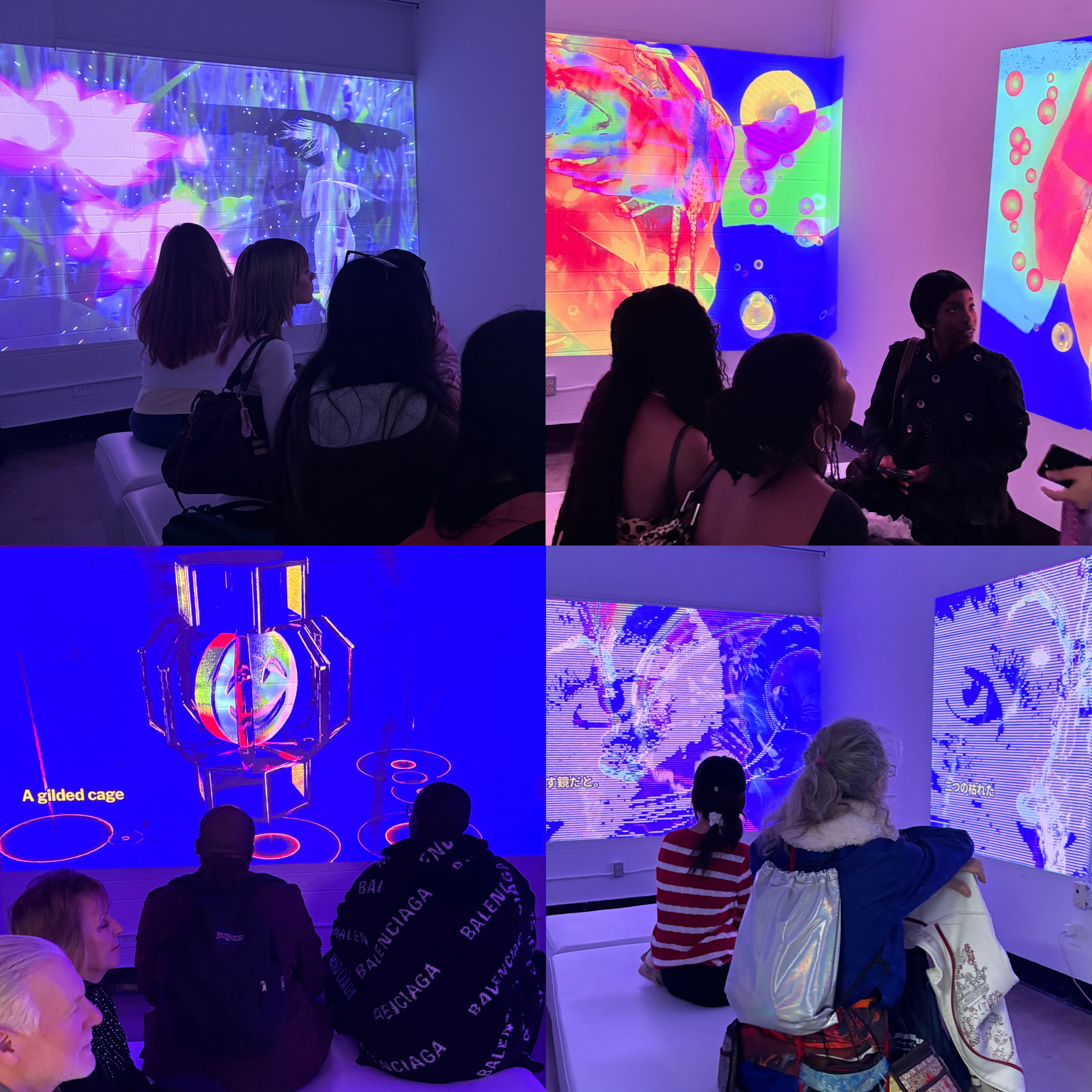 Visitors viewing immersive projected artwork