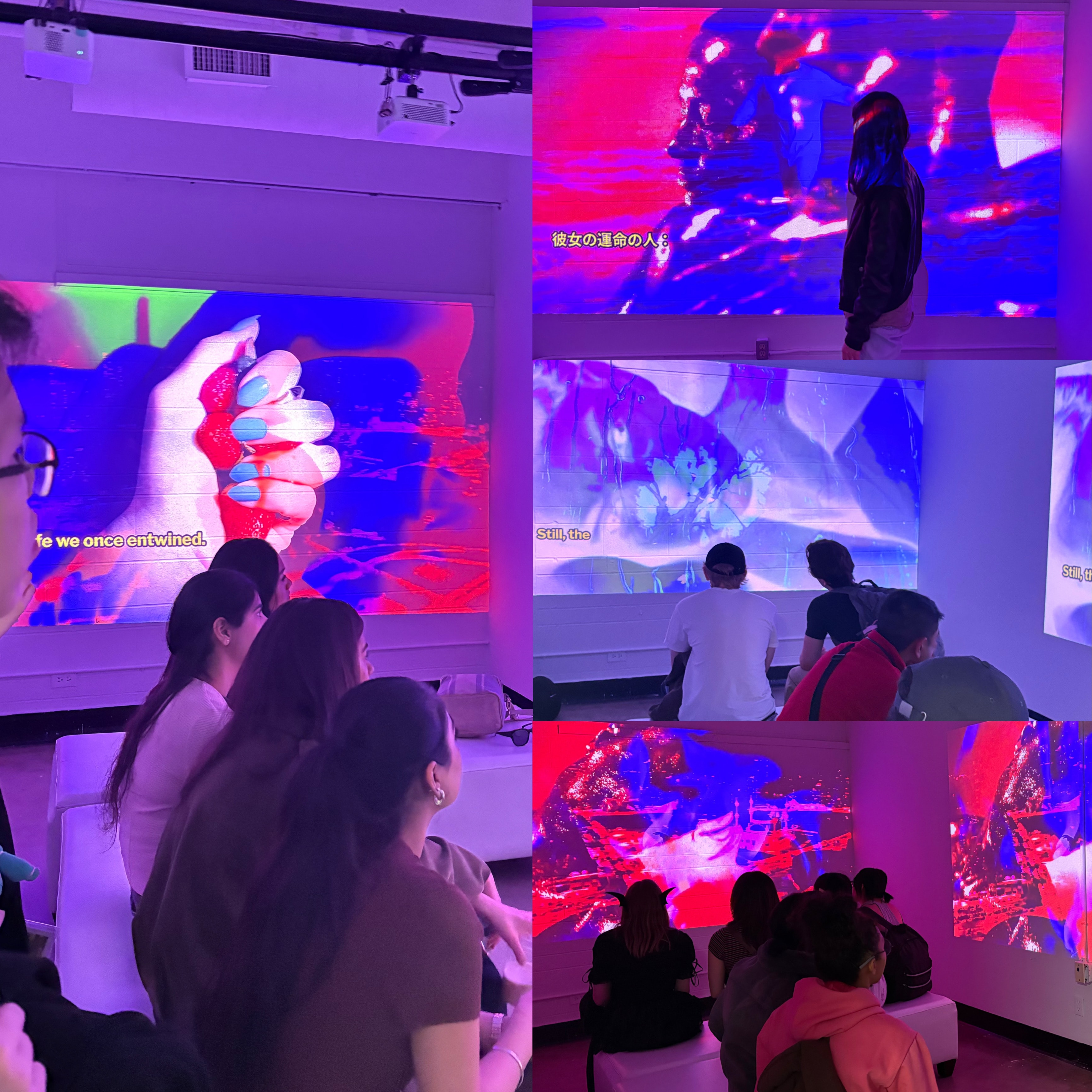 Immersive projection installation with visitors